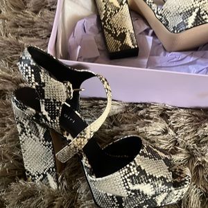 This our brand new Madden girl heels snake skin never worn!!